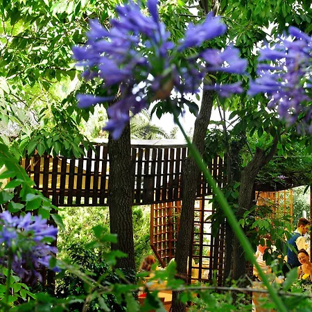 Alberi Del Paradiso Otel 4*