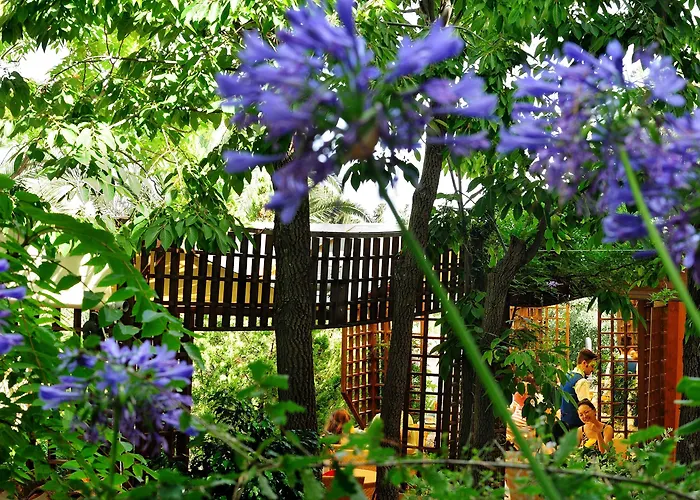 Alberi Del Paradiso Hotell 4*