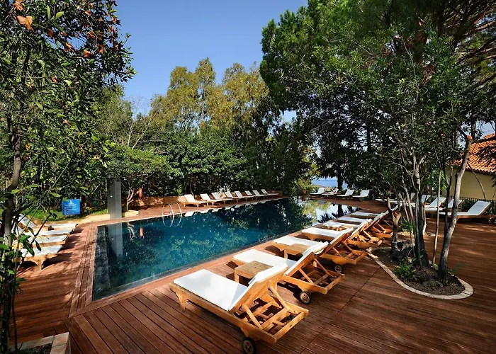 Alberi Del Paradiso Hotell